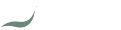 Zenvora Logo